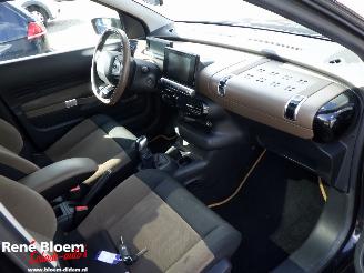 Citroën C4 cactus 1.6 Blue HDI Business 99pk picture 7