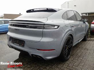 Damaged car Porsche Cayenne 3.0 E-HYBRID Full Option 476pk 2024/1