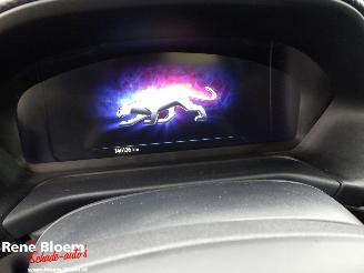 Ford Puma 1.0 EcoBoost Hybrid ST-LineX picture 17