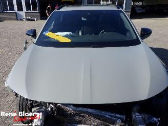 Citroën DS 7 1.6 PHEV 300 4x4 Etoile picture 3