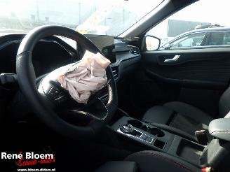 Ford Kuga 2.5 PHEV ST-Line X picture 13