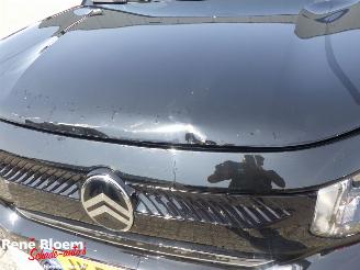 Citroën  E-C3 Business Comfort Range 44kWh picture 12
