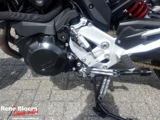BMW F 900 R  picture 13