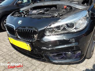 BMW 2-serie 218i Corporate Executive Automaat 136pk picture 10