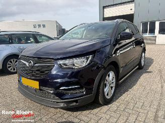 Opel Grandland X 1.2 Turbo Online Edition picture 4