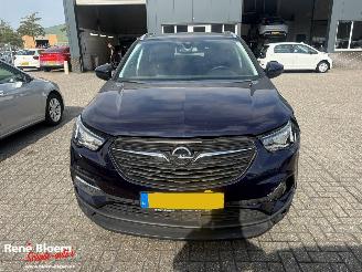 Opel Grandland X 1.2 Turbo Online Edition picture 3