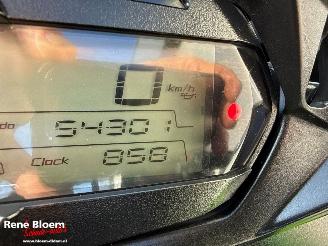 Kawasaki Z 1000 SX ABS picture 9