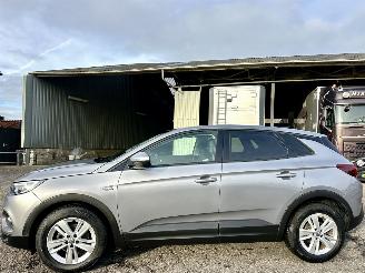 Avarii autoturisme Opel Grandland X 1.2 Turbo 131pk 6-bak Online Edition - nap - navi - clima - cruise - pdc v+a - carplay - privacy glass 2018/9