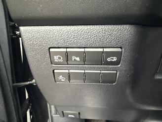 Lexus NX 300h 2.5 Hybrid aut + f1 AWD F-Sport Line - schuifdak - front + line assist - head up - elektr stuur + klep picture 56