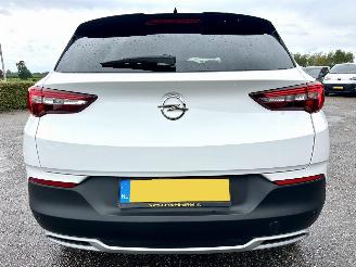 Opel Grandland X 1.2 Turbo 131pk aut Innovation - 360cam - keyless - nav - line + side assist - stoelkoeling - stuurverw - stoelverw v+a picture 93