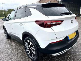 Opel Grandland X 1.2 Turbo 131pk aut Innovation - 360cam - keyless - nav - line + side assist - stoelkoeling - stuurverw - stoelverw v+a picture 6