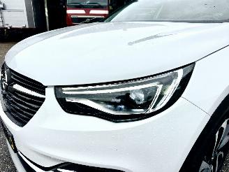 Opel Grandland X 1.2 Turbo 131pk aut Innovation - 360cam - keyless - nav - line + side assist - stoelkoeling - stuurverw - stoelverw v+a picture 118
