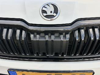 Skoda Kodiaq 1.5 TSI 150pk aut + f1 Sportline - nap - camera - keyless - stuurverw - front + line + side assist picture 106
