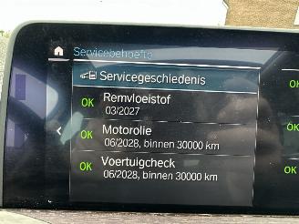 BMW X3 xDrive30e 259pk 8-traps aut Ed - 20dkm nap - pano - leer - 360cam - front + line + side + park assist picture 50