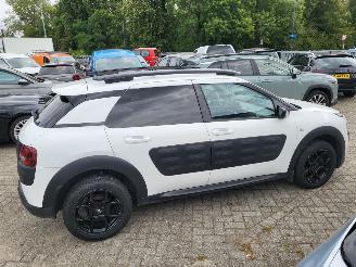 Citroën C4 cactus C4 Cactus 1.2 VTi Shine rijdbaar picture 10