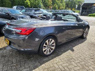Opel Cascada Cascada 1.6 Turbo Innovation 1e eigenaar lichte blikschade picture 10