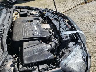 Opel Cascada Cascada 1.6 Turbo Innovation 1e eigenaar lichte blikschade picture 24