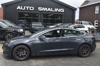 Schadeauto Tesla Model 3 75Kwh Long Range AWD 351Pk *Navi/Clima/leder/Camera/Panorama 2019/9