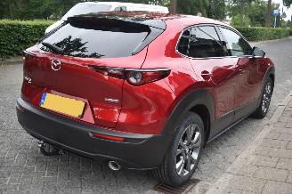 Mazda CX-30 2.0 E-skyactive-X M Hybrid AWD Luxury 179Pk *Navi/Clima/Leder picture 3