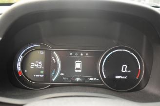 Kia e-Niro 64Kwh Executiveline 204Pk 100%Soh *Navi/Clima/Camera/Leder picture 14