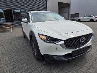 Mazda CX-30 BENZINE-HYBR / CAMERA / NAVI / HEAD UPP picture 13