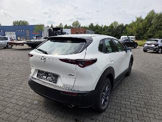 Mazda CX-30 BENZINE-HYBR / CAMERA / NAVI / HEAD UPP picture 8