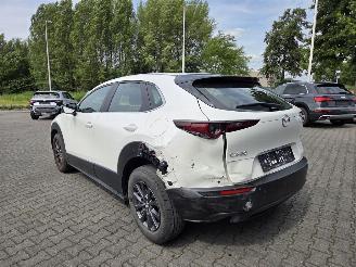 Mazda CX-30 BENZINE-HYBR / CAMERA / NAVI / HEAD UPP picture 5