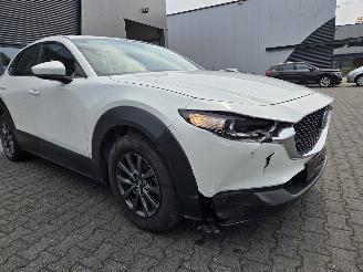Mazda CX-30 BENZINE-HYBR / CAMERA / NAVI / HEAD UPP picture 11
