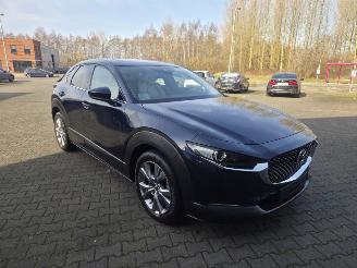 Mazda CX-30 137KW /HYBR / AUTOM /SHUIFDAK / LEER /HEAD UPP picture 12