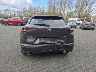 Mazda CX-30 2.0 LTr  / 137KW / AW-D / AUTOM. / SCHUIFDAK / LEER / HEAD UPP picture 5