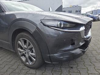 Mazda CX-30 2.0 LTr  / 137KW / AW-D / AUTOM. / SCHUIFDAK / LEER / HEAD UPP picture 10