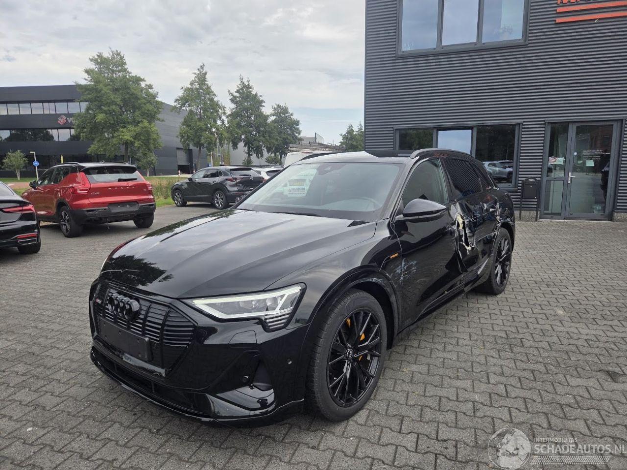 Audi E-tron 55 quattro 300kw S-Line Black Edition 95 kWh