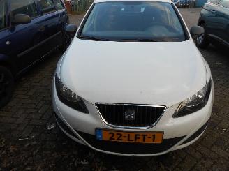 Avarii autoturisme Seat Ibiza 1.2 Benzine 2010/6