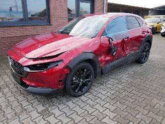 Mazda CX-30 NAGISA LED 2WD picture 2