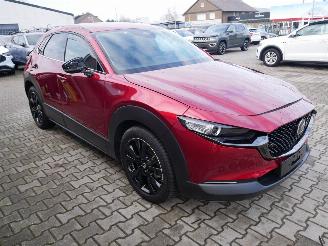 Mazda CX-30 NAGISA LED 2WD picture 3