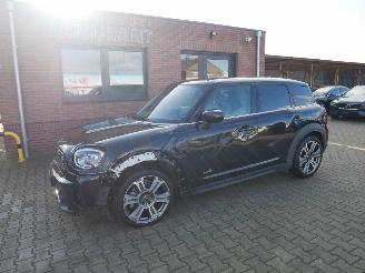 Coche accidentado Mini Countryman COOPER COUNTRYMAN S ALL 4 NORTHWOOD PANORAMADAK LEER LED 2021/8
