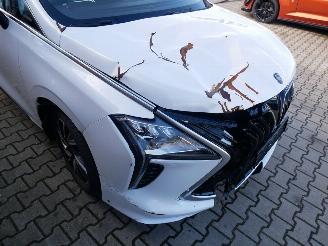 DFSK  FORTHING U TOUR PANORAMADAK LEER LED 7 PERSOONS picture 12