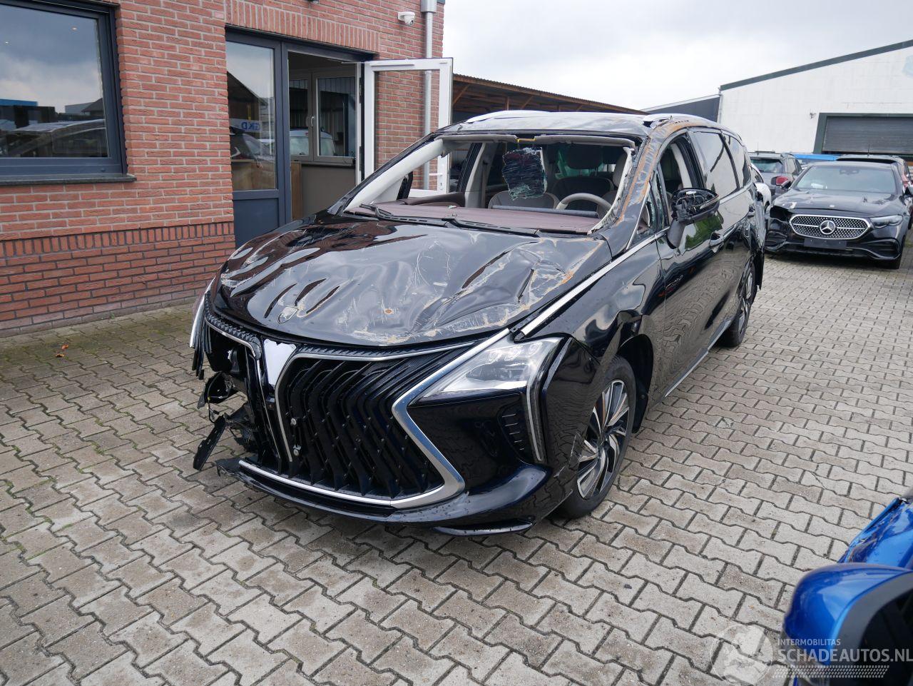 DFSK FORTHING 4 U-TOUR LEER LED PANORAMADAK 7 PERSOONS.