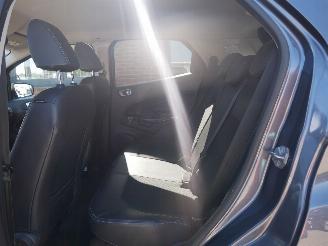 Ford EcoSport TITANIUM MOTORSCHADE picture 11