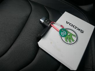 Skoda Kodiaq 7 PERSOONS LEER LED 4X4 picture 20