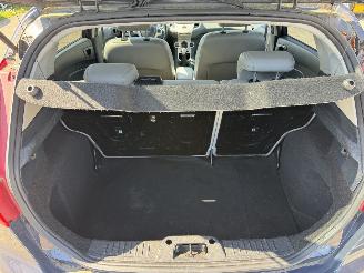 Ford Fiesta 1.6 TDCI Titanium picture 13