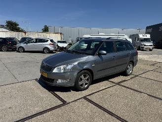 uszkodzony samochody osobowe Skoda Fabia 1.2 TSI Fresh 2013/10