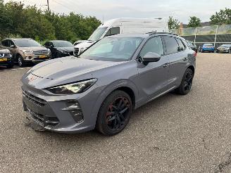 Avarii autoturisme Cupra Terramar VZ 195KW PANO Kuipstoelen Vierwielaandrijving LED VOLLE 2025/7