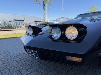 Corvette  STINGRAY 5.7 V8 Targa picture 46