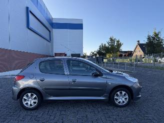 Vaurioauto  passenger cars Peugeot 206+ 1.4 XS Clima 2009/9