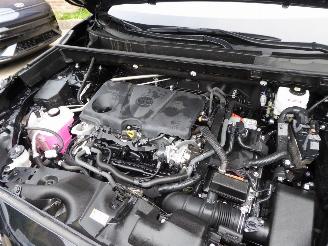 Toyota Rav-4 Hybrid 4x2 picture 30