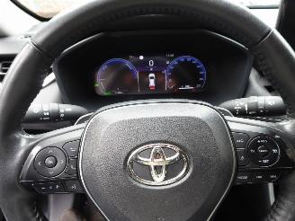 Toyota Rav-4 Hybrid 4x2 picture 18