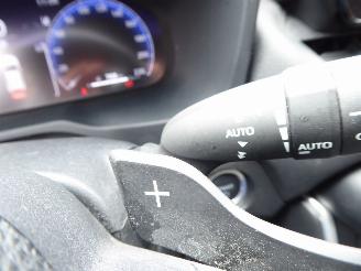 Toyota Rav-4 Hybrid 4x2 picture 22