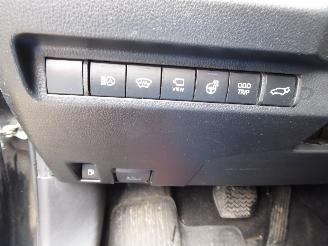 Toyota Rav-4 Hybrid 4x2 picture 15