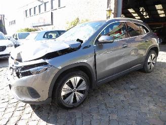 škoda osobní automobily Mercedes EQA 250 2022/9